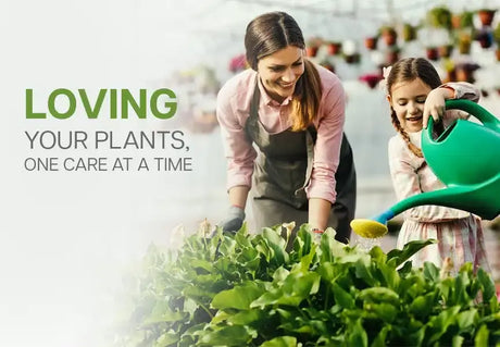 Cultivating Growth: The Importance and Scope of Vegetable Seeds in India