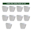 Small Indoor Plant Pots set of 10 — Sturdy, Breathable | Native Indian Organics