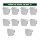 Small Indoor Plant Pots set of 10 — Sturdy, Breathable | Native Indian Organics