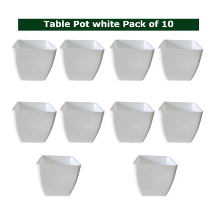 Small Indoor Plant Pots set of 10 — Sturdy, Breathable | Native Indian Organics