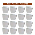 Small Plant pots (set of 16) Table top pots — Reliable, Durable | Native Indian Organics