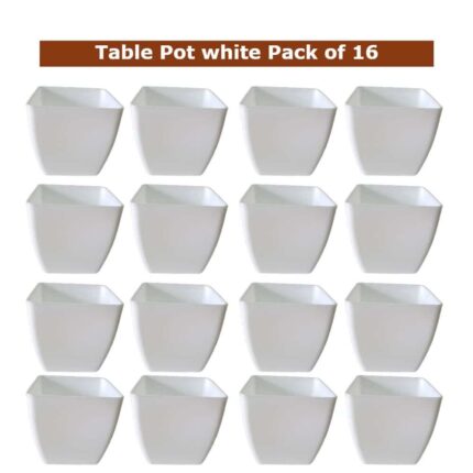 Small Plant pots (set of 16) Table top pots — Reliable, Durable | Native Indian Organics