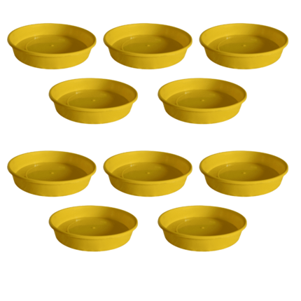Bottom Tray 6 inch Yellow set of 10 — Reusable, Sturdy | Native Indian Organics