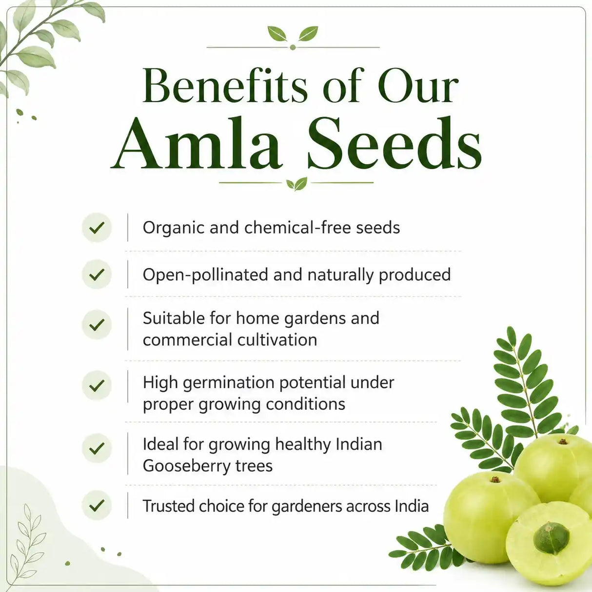 Benefits of Amla Seeds