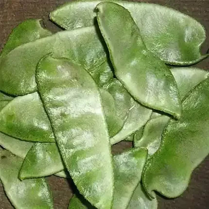 Elephant Ear Beans seeds — Tender, Nutrient-dense seed pack | Native Indian Organics