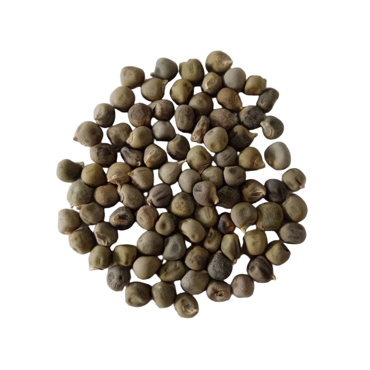 Ladies finger Organic seeds - High quality and High germination Seeds | Native Indian Organics