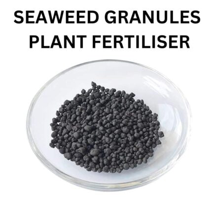 Seaweed Granules Fertilizer 450G — Fast-growing, Heirloom seed pack | Native Indian Organics