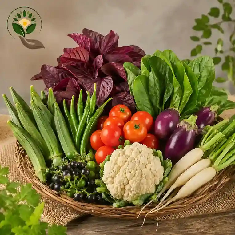 Terrace garden kit for Beginners