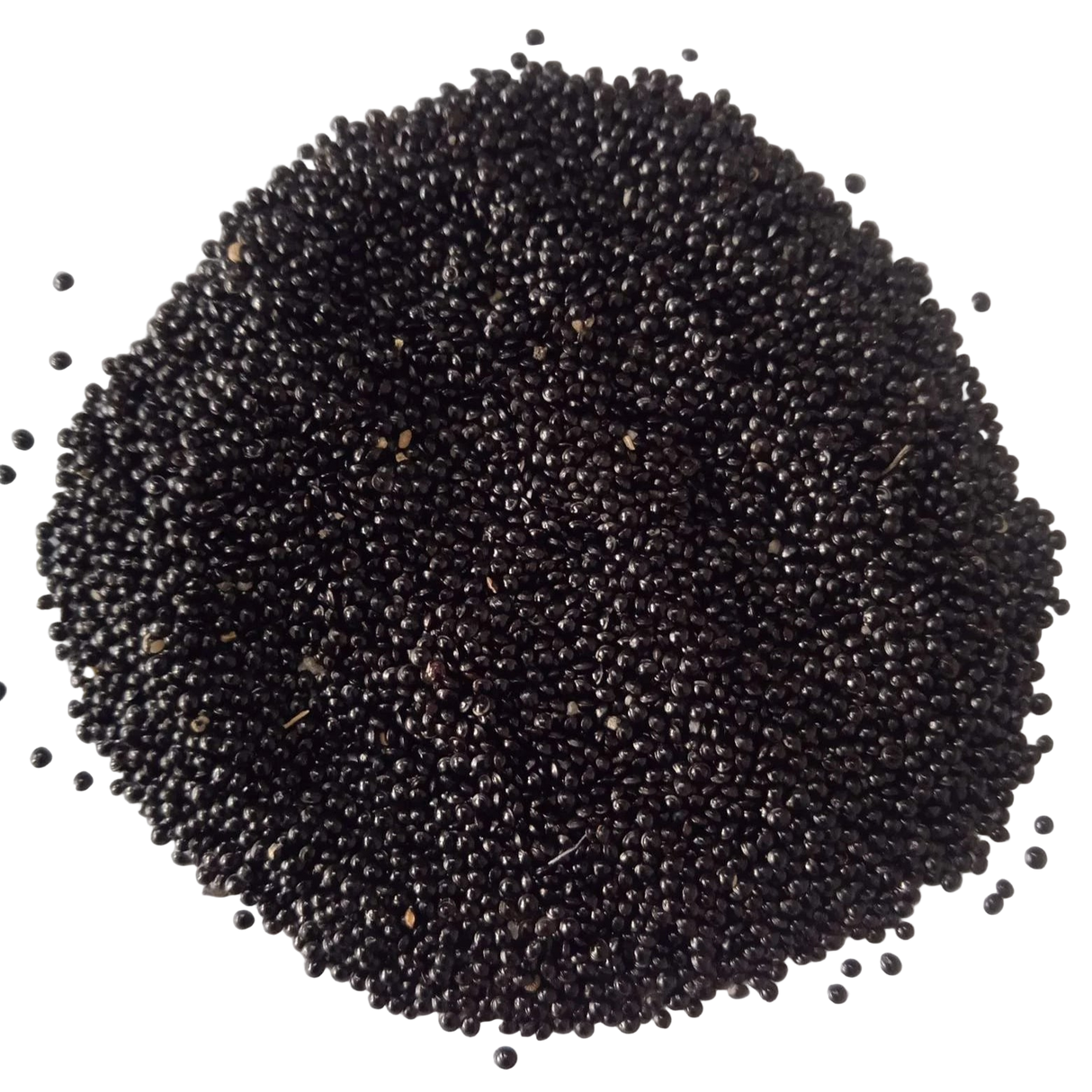 Tropical Amaranth Seeds — Tender and Organic seed pack | Native Indian Organics