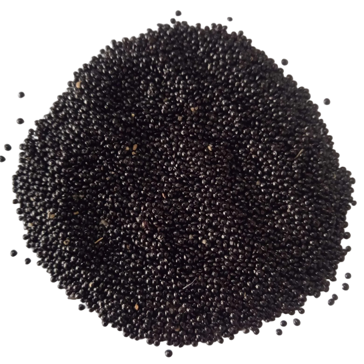 Amaranthus Seeds Green — Organic , High Germination Seeds | Native Indian Organics