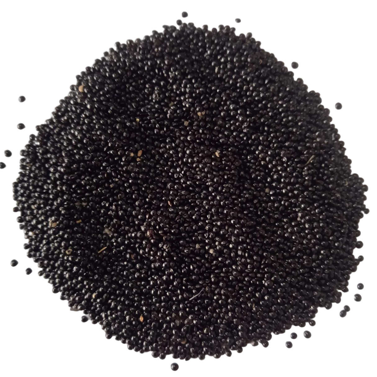 Red Amaranth Microgreens seeds — Organic, High germination seeds | Native Indian Organics