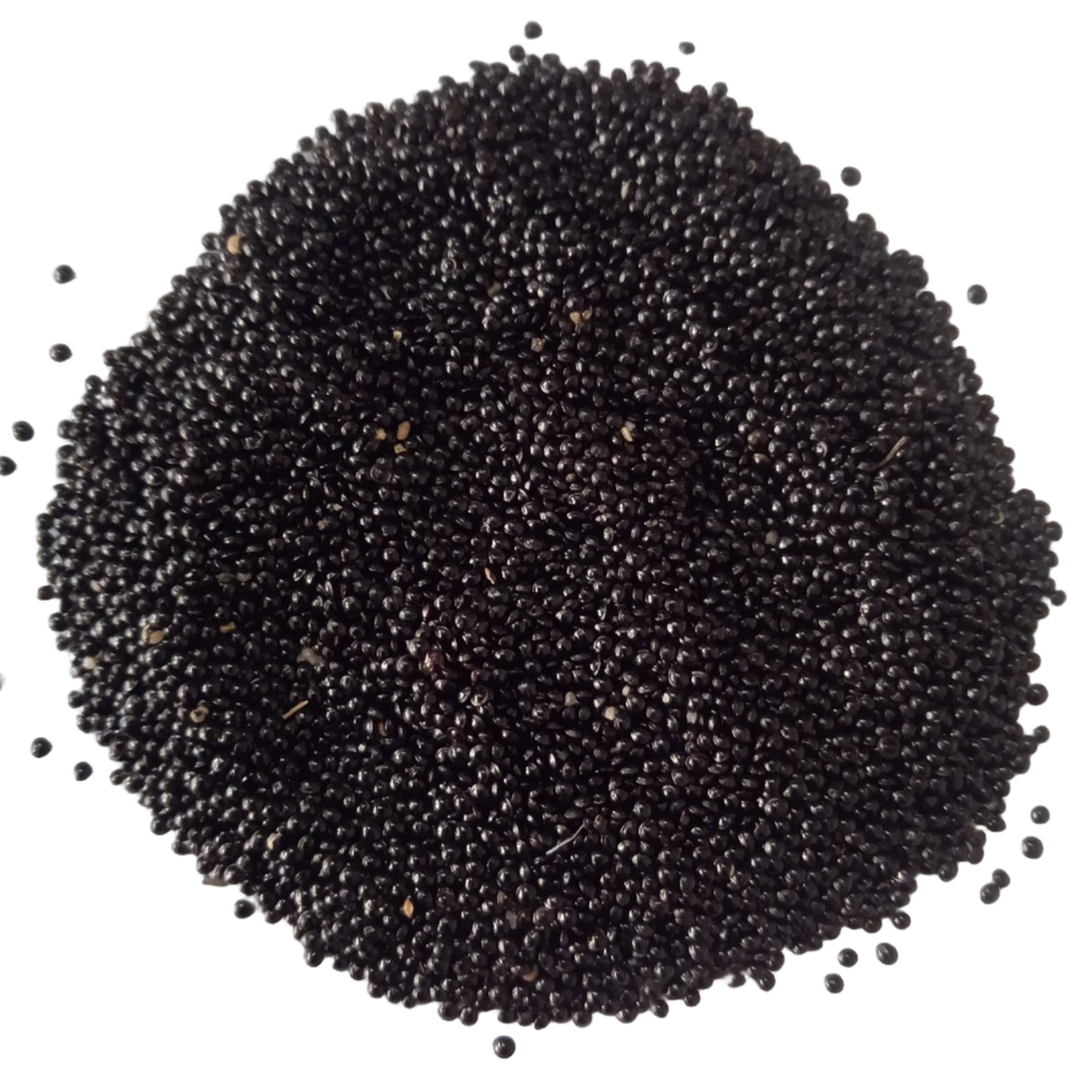 Organic Seeds of Spleen Amaranthus  — Premium quality, High Germinated Seeds| Native Indian Organics