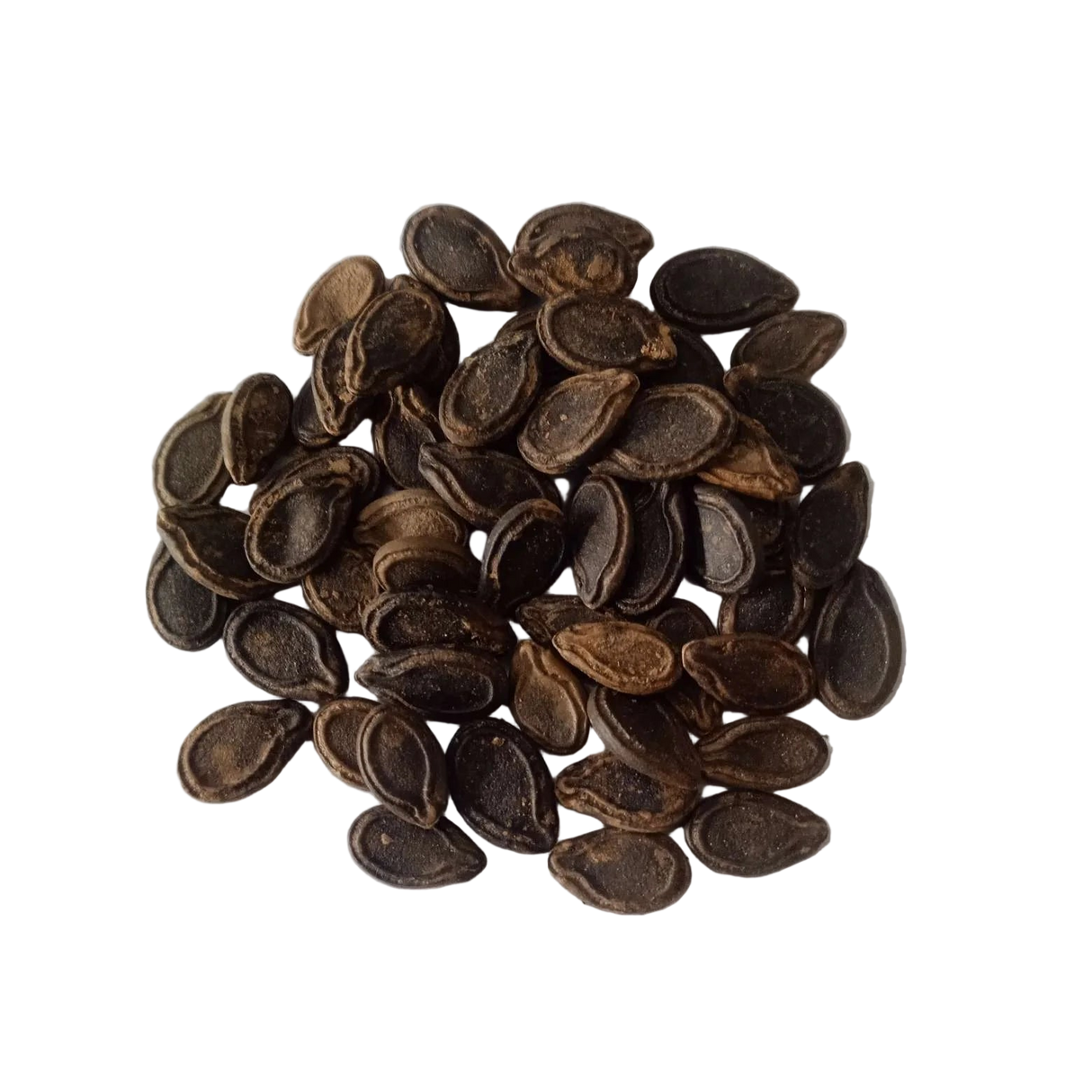 Tinda (Apple Gourd) Seeds - Orgnaic, Non-GMO seeds | Native Indian Organics