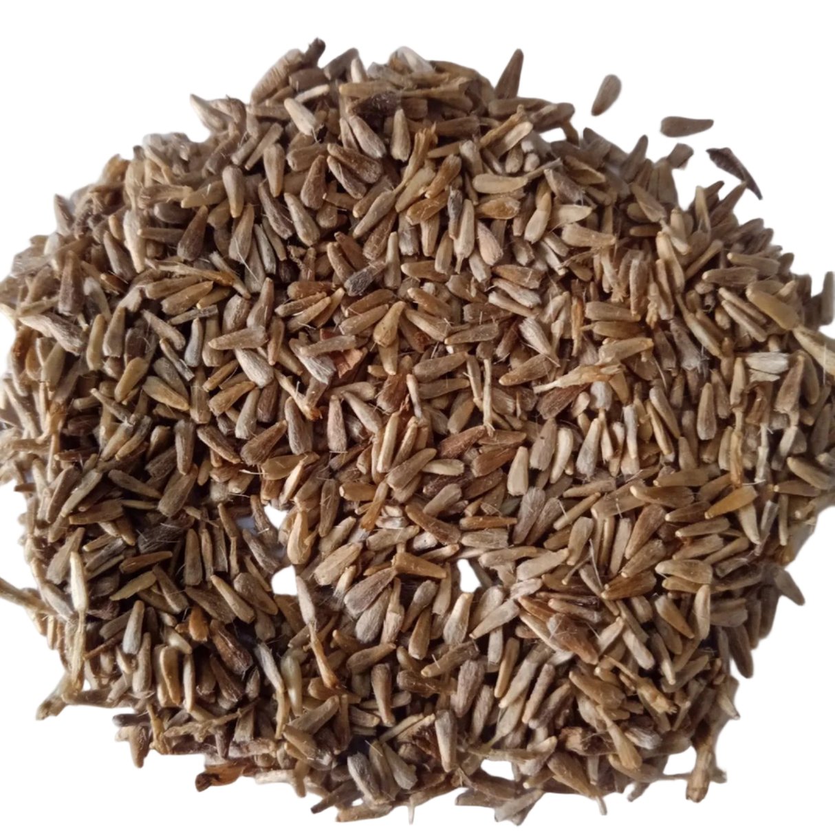 Aster flower and Duchess Formula Mix -    High Germination Seeds| Native Indian Organics