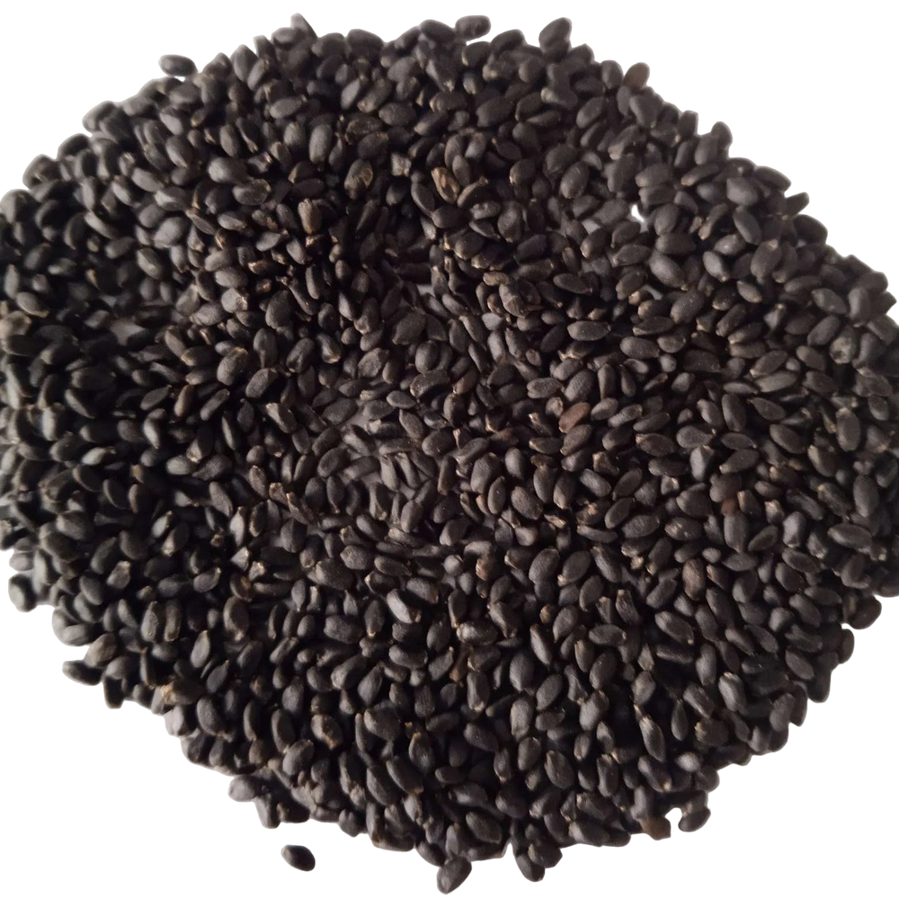 Basil seeds — Fresh and Organic seed pack | Native Indian Organics