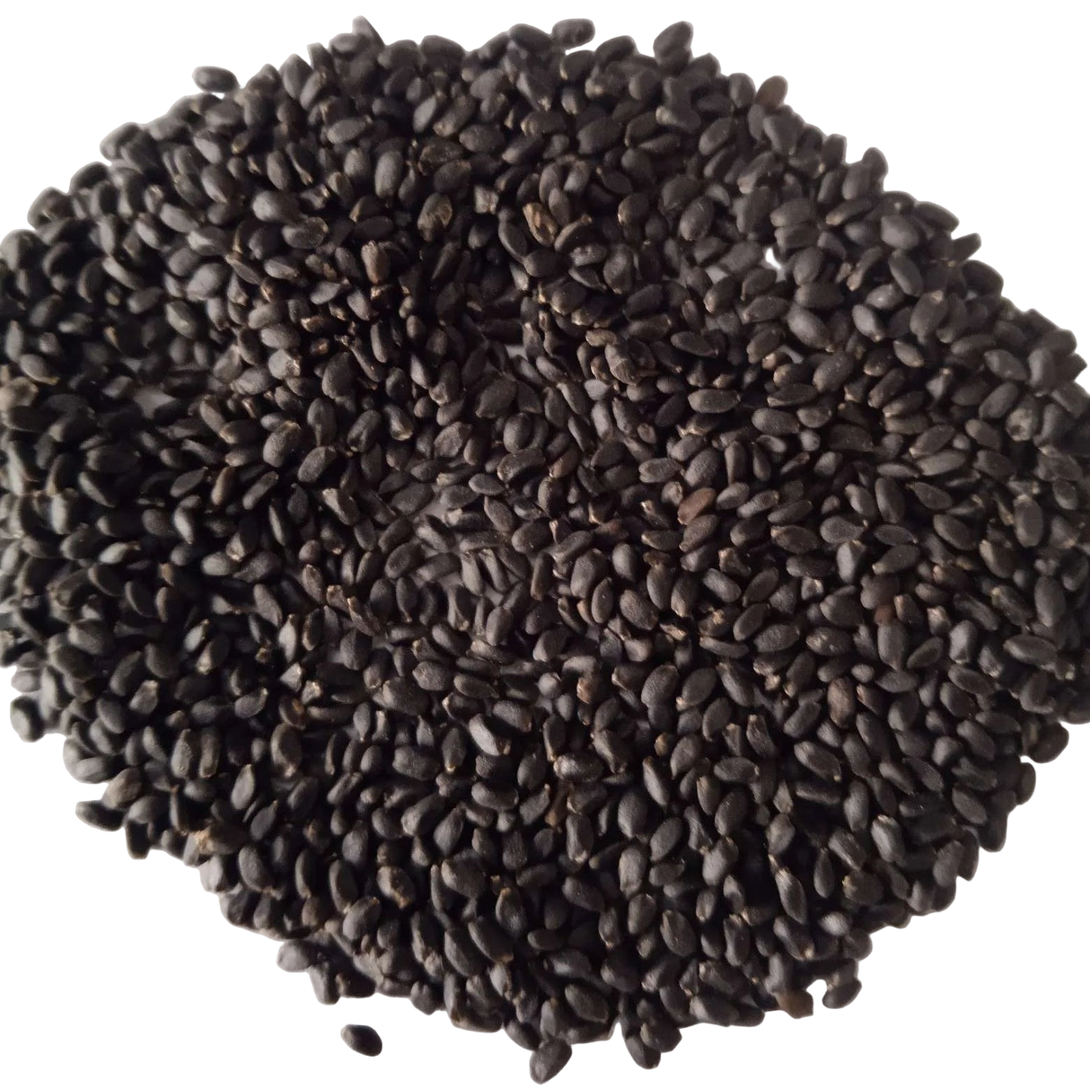 Basil seeds — Fresh and Organic seed pack | Native Indian Organics