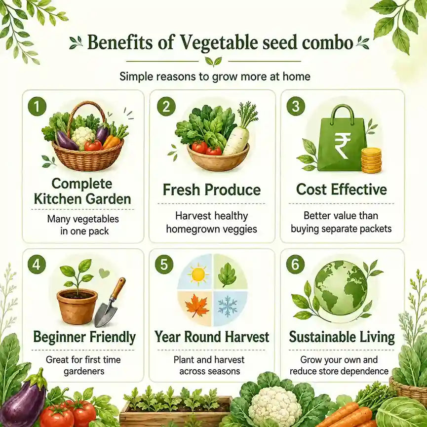 benefits of vegetable seeds combo