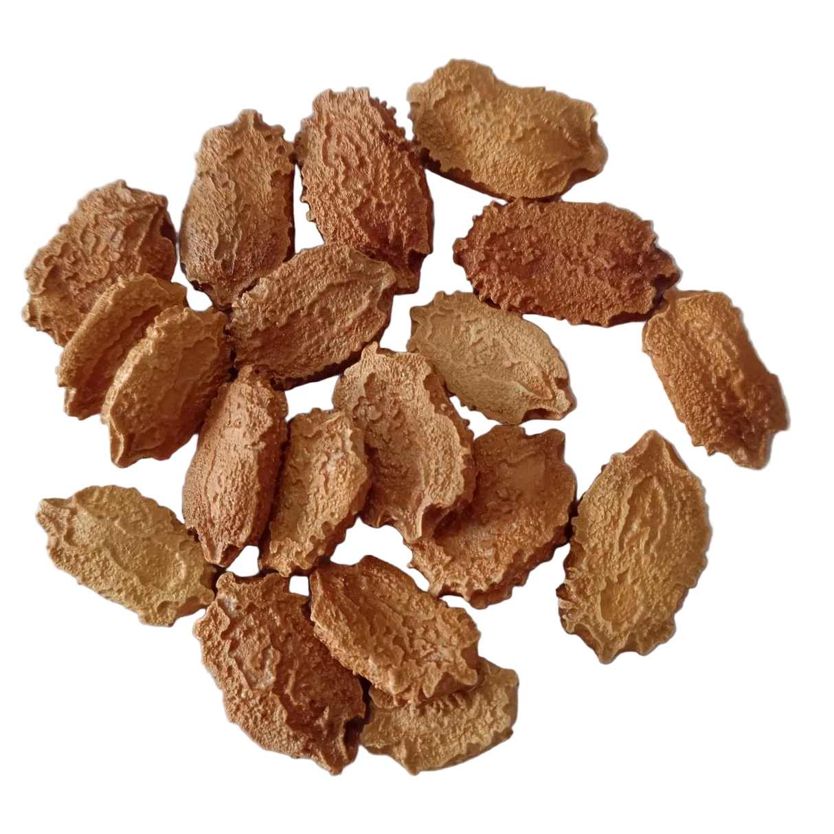 Bitter Gourd Vegetable Seeds - Fresh & Organic Native vegetable seeds | Native Indian Organics