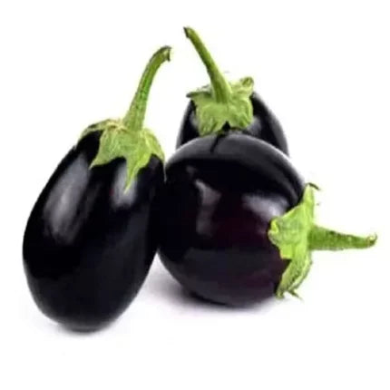 Brinjal Black Beauty seeds — Fast-growing, Heirloom seed pack | Native Indian Organics