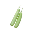 Bottle Gourd (Long) Seeds Native country variety — Clear glass, Airtight glass bottle with cork | Native Indian Organics