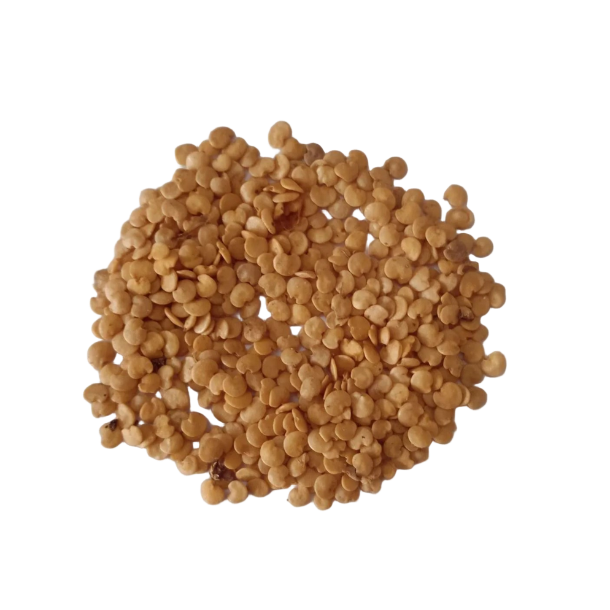 Violet Brinjal Native Vegetable Seeds - Premium Quality, Heirloom seed pack | Native Indian Organics