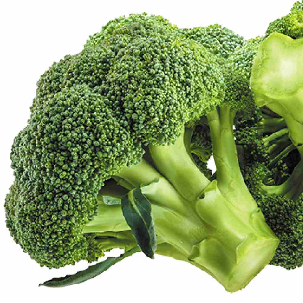 Broccoli seeds — Organic, Peat-free | Native Indian Organics