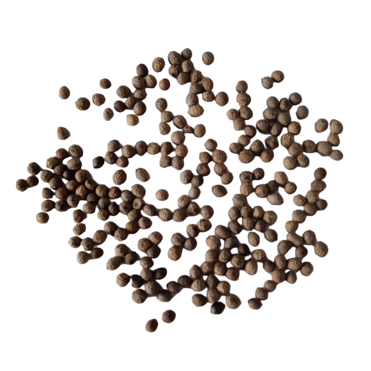 California Poppy Mix seeds - Heirloom and High Germinated Seeds | Native Indian Organics