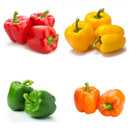 Capsicum Combo Pack of 4 pack of 4 — Aromatic, Fast-growing seed pack | Native Indian Organics