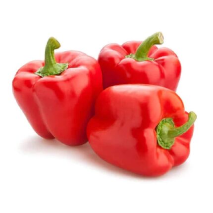 Capsicum Red seeds — Heirloom, Non-GMO seed pack | Native Indian Organics