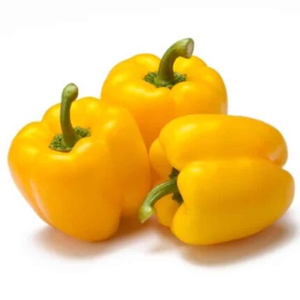 Capsicum Yellow seeds — High germination, Tender seed pack | Native Indian Organics