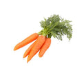 Carrot Seeds — Tender, Nutrient-dense seed pack | Native Indian Organics