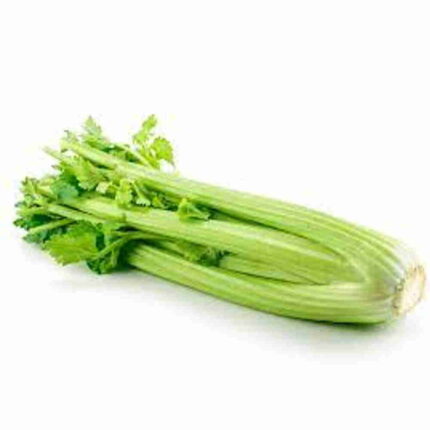 Celery seeds — Organic, High germination seed pack | Native Indian Organics