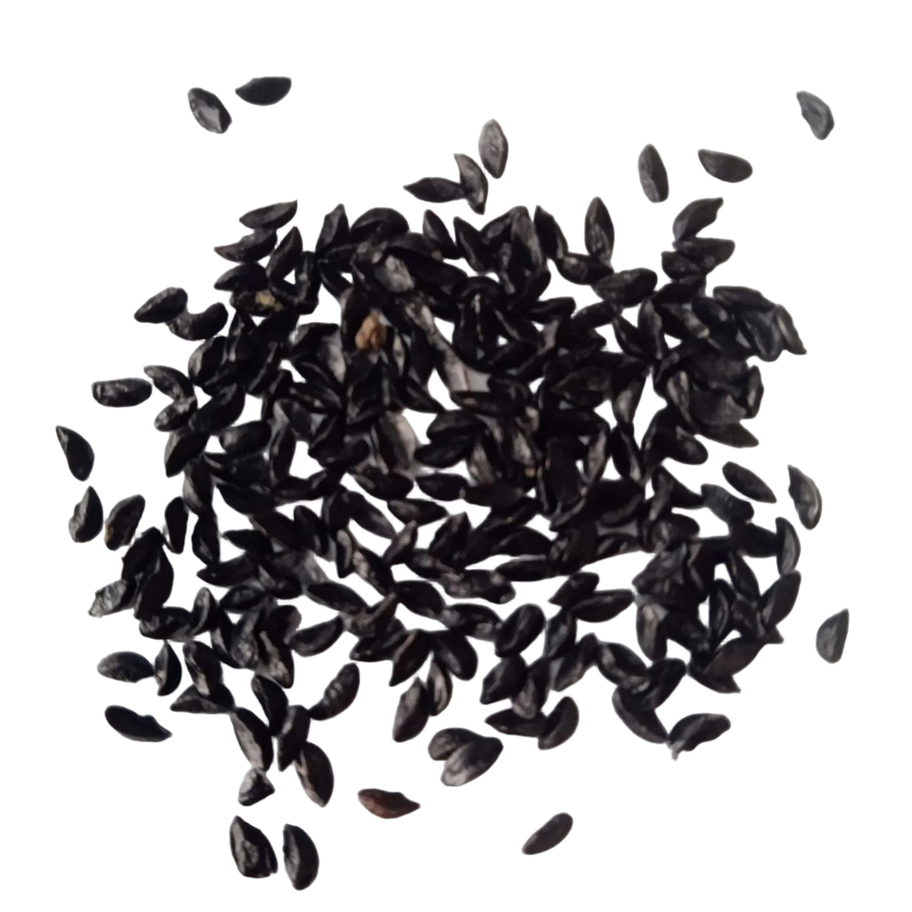 Chives Seeds — High quality Organic seed pack | Native Indian Organics