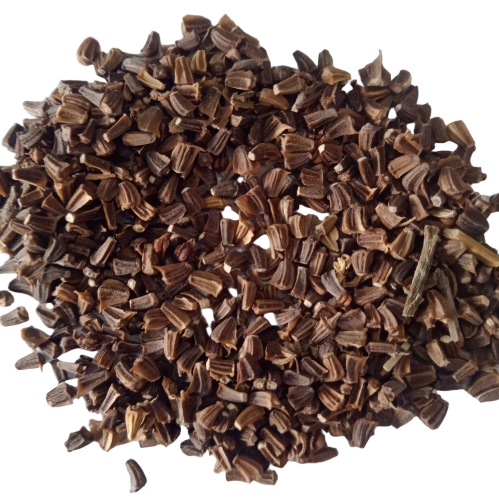 Chrysanthemum Carinatum Flower seeds Mix - Premium Quality Fresh Seeds | Native Indian Organics