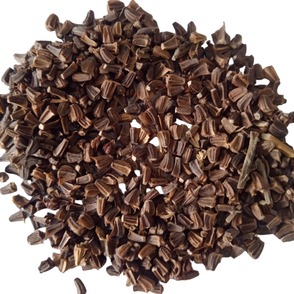 White Chrysanthemum Flower Seeds - Fresh vibrant Colourful flower Seeds | Native Indian Organics