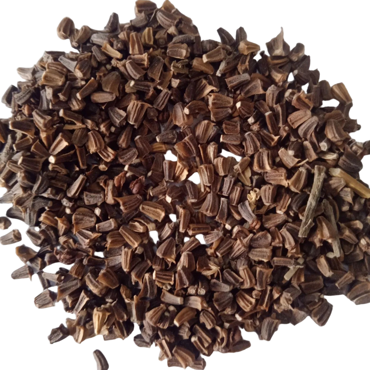 White Chrysanthemum Flower Seeds - Fresh vibrant Colourful flower Seeds | Native Indian Organics