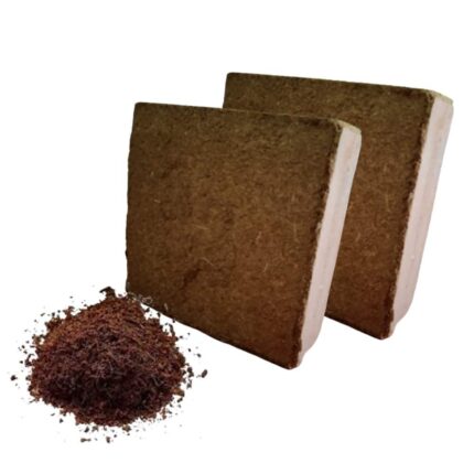 Cocopeat Block 5KG set of 2 (9-10kg) — Heirloom, Non-GMO seed pack | Native Indian Organics