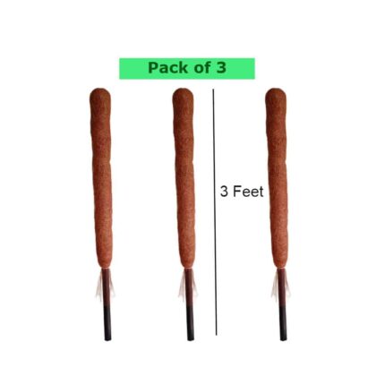 Coco stick 3 feet (Pack of 3) pack of 3 — Organic, Peat-free | Native Indian Organics
