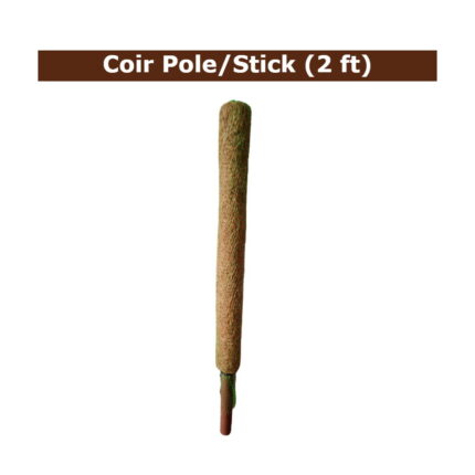 Coir Moss Stick 2 Ft Set Of 4 — Reliable, Durable | Native Indian Organics