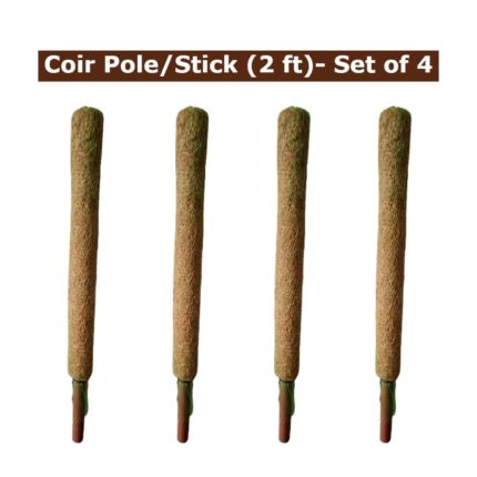 Coir Moss Stick 2 Ft Set of 4 — Eco-friendly, Organic | Native Indian Organics