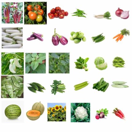 Vegetable Combo Pack of 30 pack of 30 — Heirloom, Non-GMO seed pack | Native Indian Organics