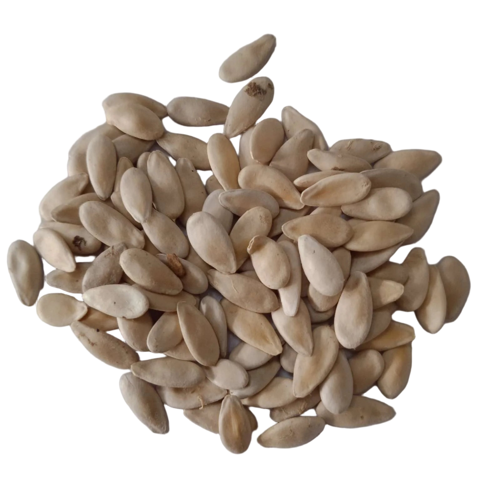 Cucumber Seeds — Organic , Aromatic seed pack | Native Indian Organics