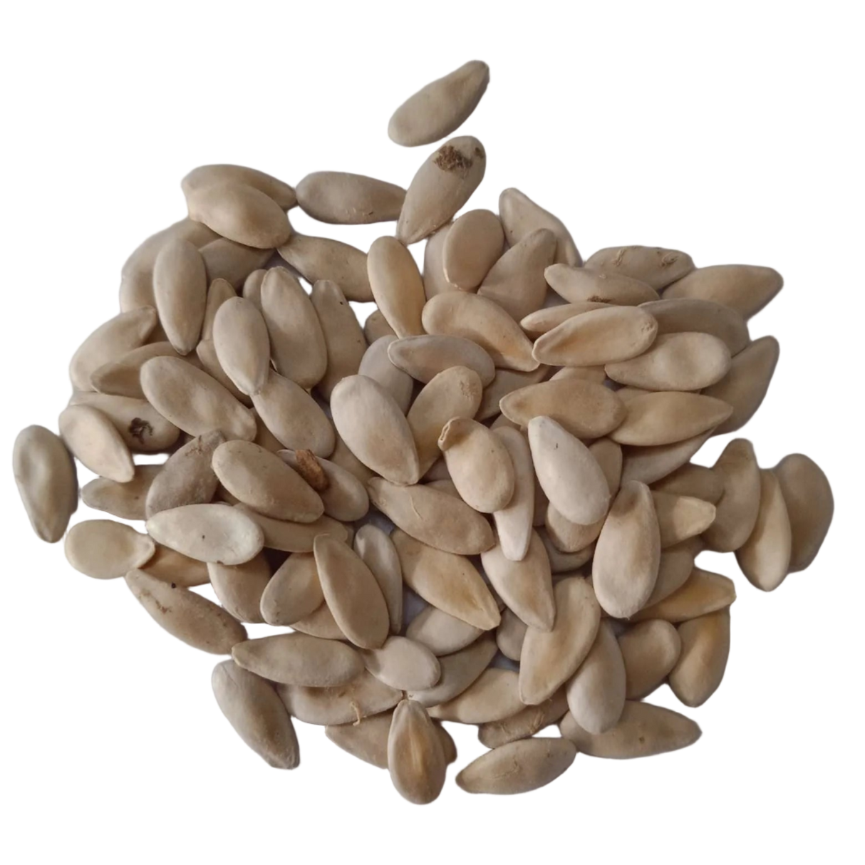 Cucumber Seeds — Organic , Aromatic seed pack | Native Indian Organics