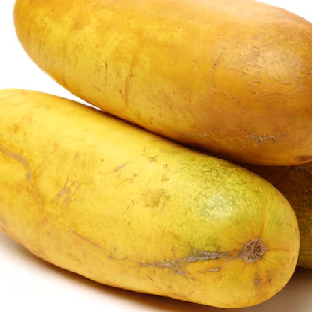 Cucumber Fruit Variety seeds
