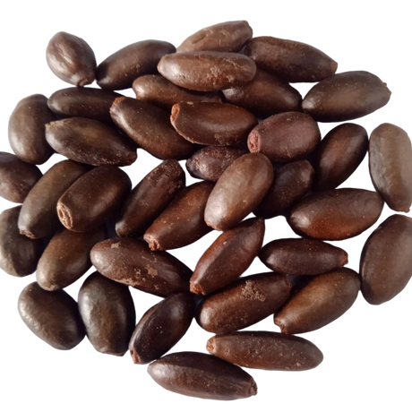 Custard Apple Seeds - Fresh Flavourful Organic Custard Apple Seeds | Native Indian Organics