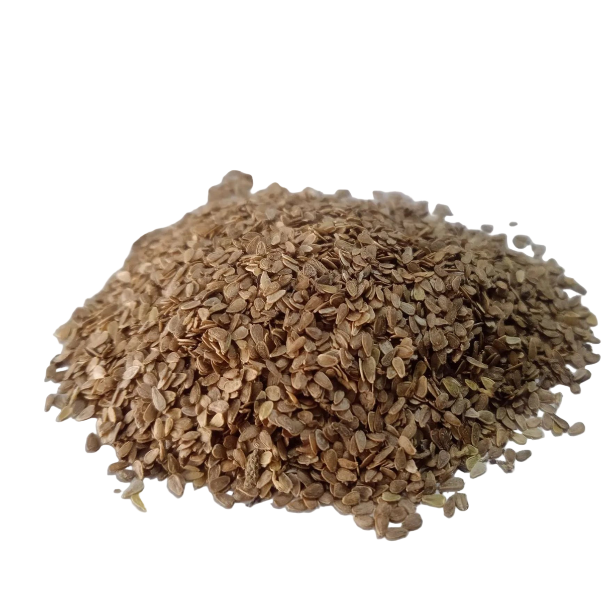 Daisy Double Mix seeds — Natural and Colourful Flower Seeds | Native Indian Organics