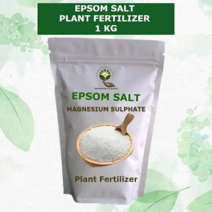 EPSOM SALT Magnesium Sulphate Fertilizer 1 KG — Nutrient-dense, Organic seed pack | Native Indian Organics