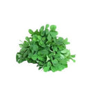 Fenugreek seeds — Crisp, Aromatic seed pack | Native Indian Organics