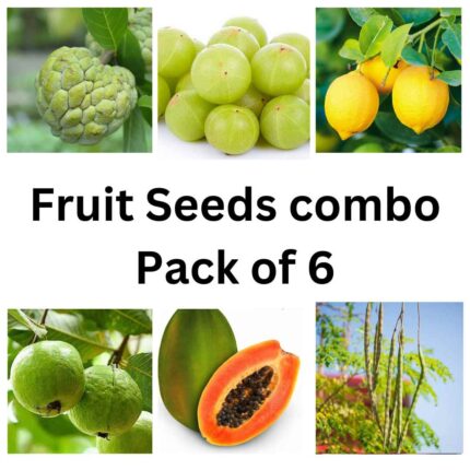 Fruit seeds combo Pack of 6 pack of 6 — Native, Aromatic seed pack | Native Indian Organics
