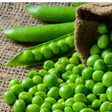 Green Pea Seeds — Aromatic, Tender seed pack | Native Indian Organics